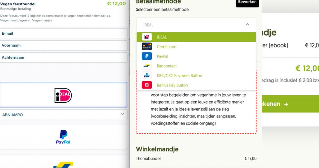 betaalpagina maken - hoe doe je dat?