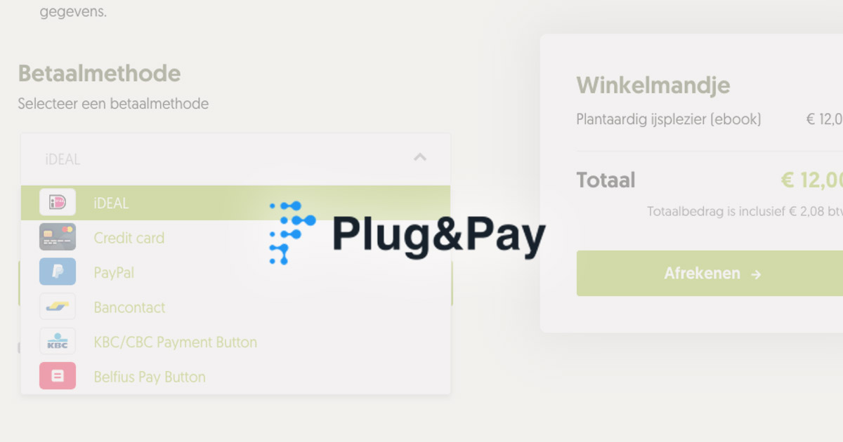 Plug & Pay betaalpagina's - review