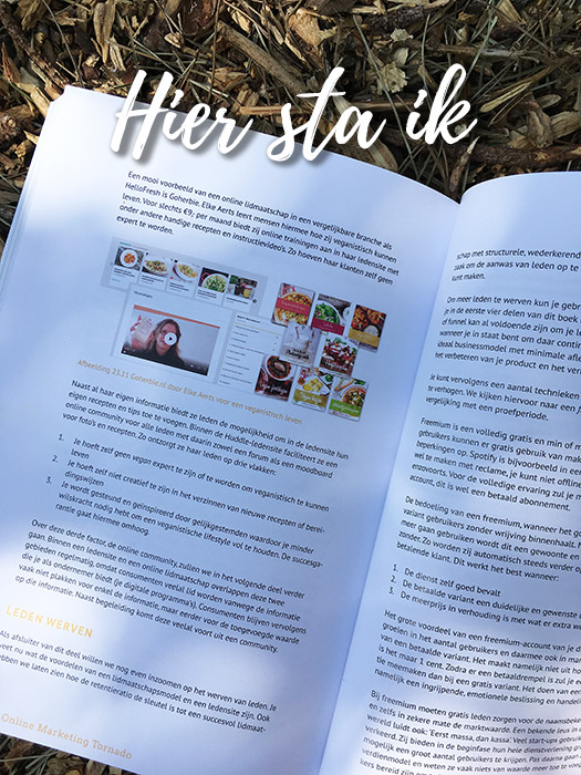 casestudy in de online marketing tornado