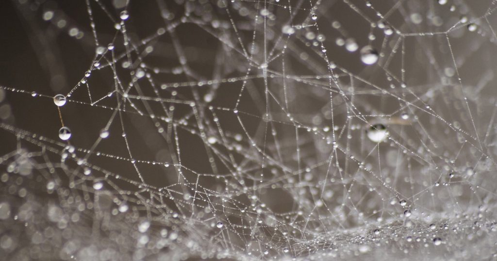 Interne links voor seo