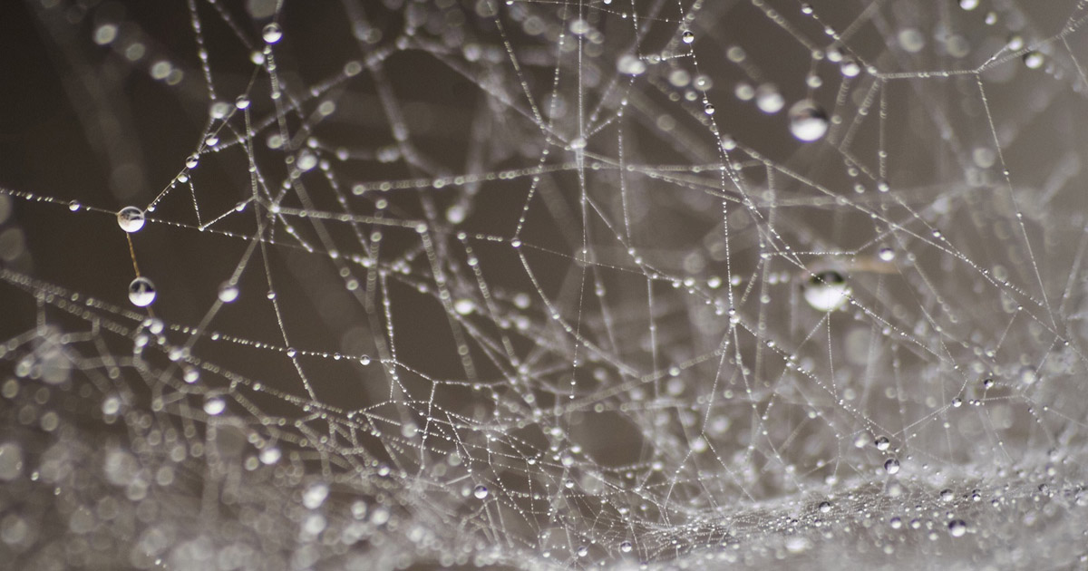 Interne links voor seo