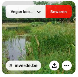 Pinterest repin