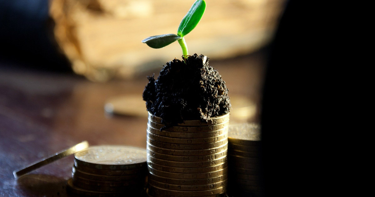Wat is dividend en dividend beleggen?