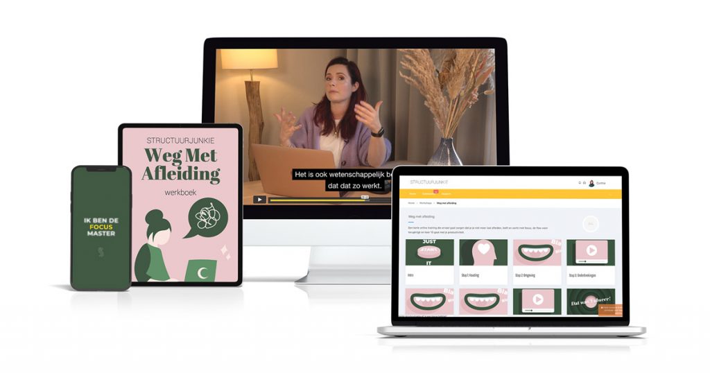 Weg met afleiding (review) cursus van Cynthia van Structuurjunkie